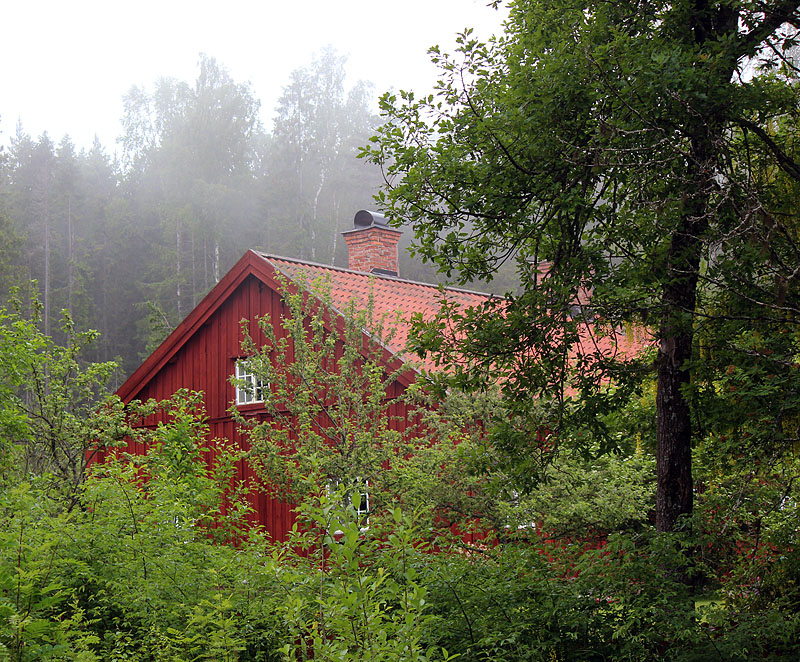 Murberget