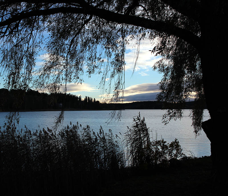Gådeåparken