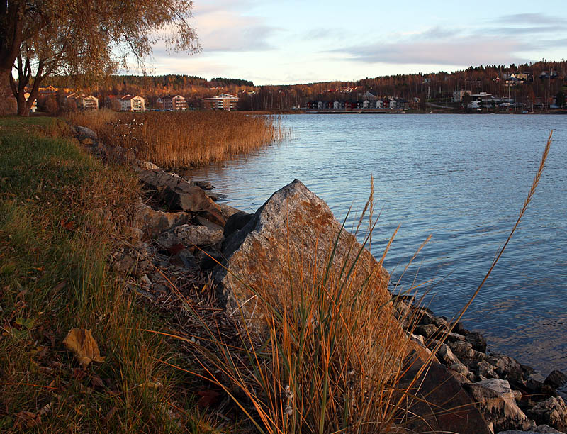 Gådeåparken