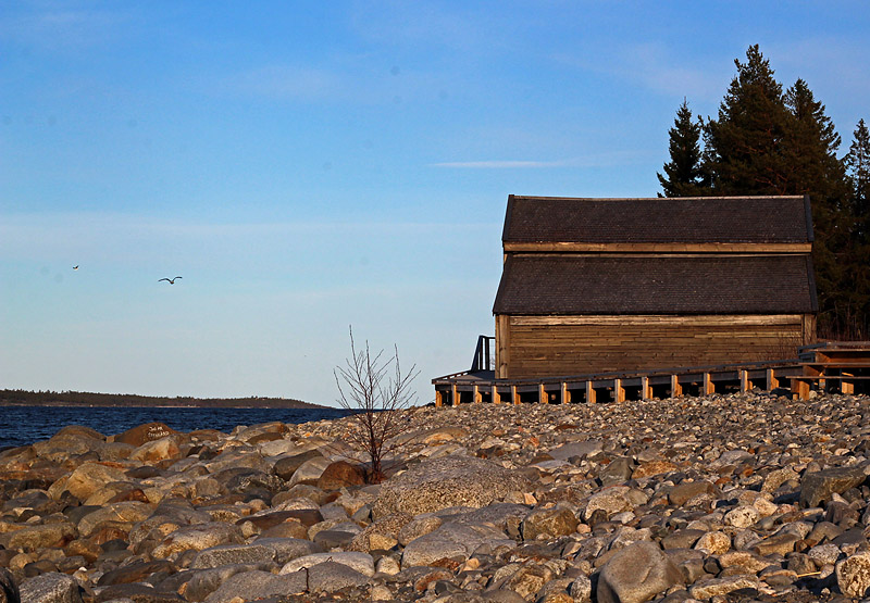 Sälsten