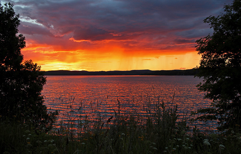 Sälsten