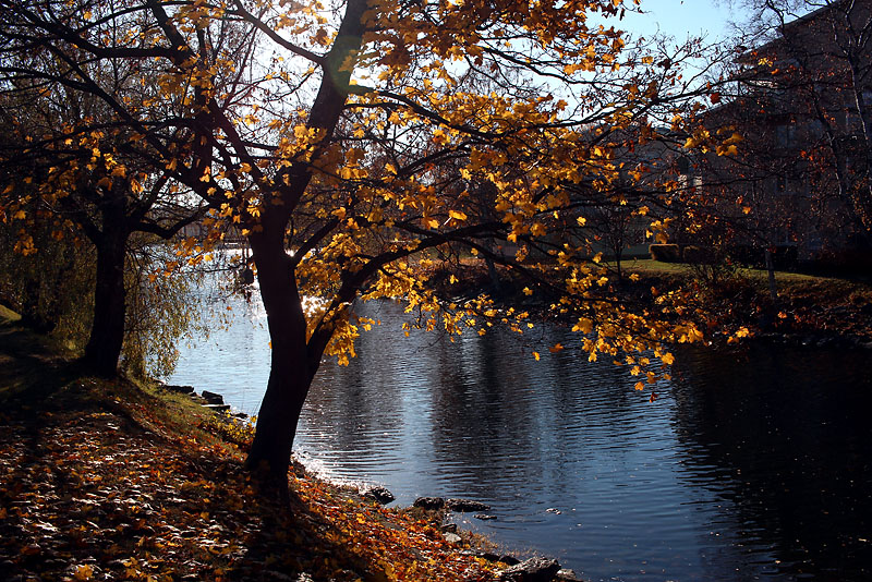 Härnösand