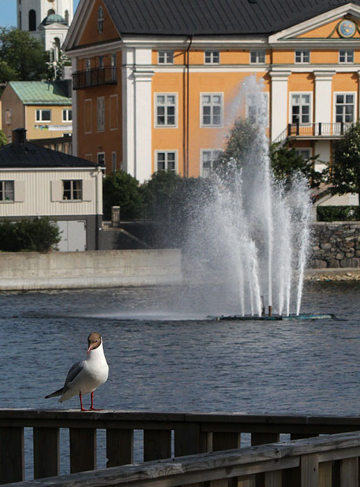 Härnösand