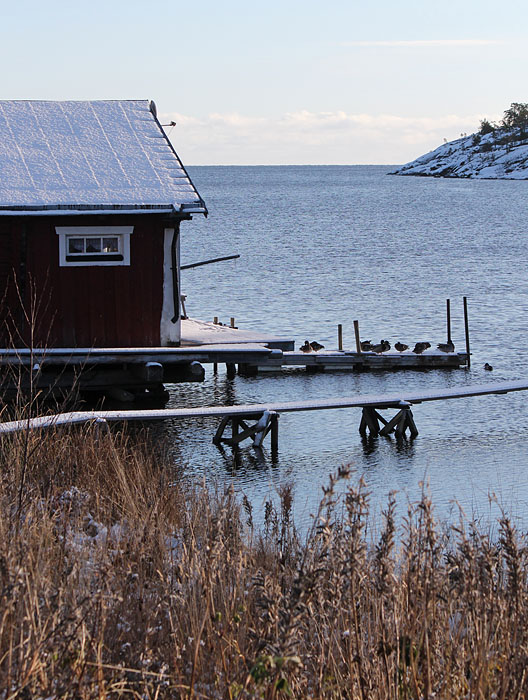 Gånsvik
