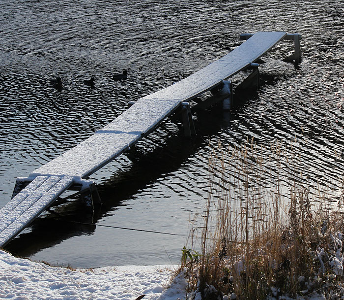 Gånsvik