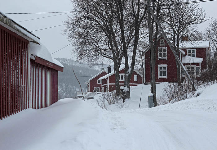 Gånsvik