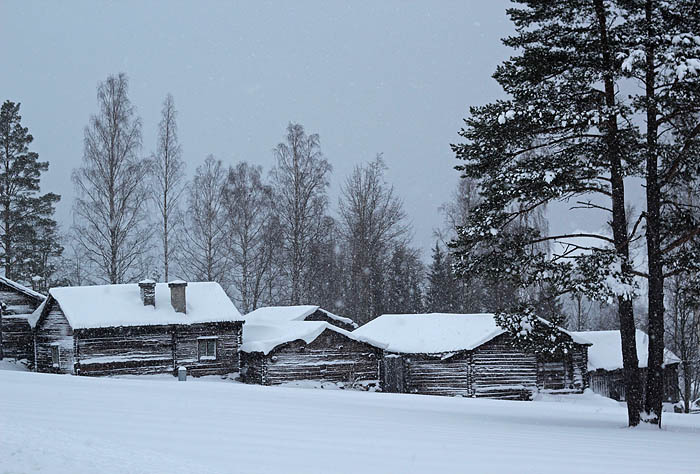 Murberget