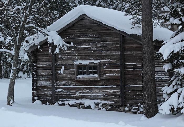 Murberget