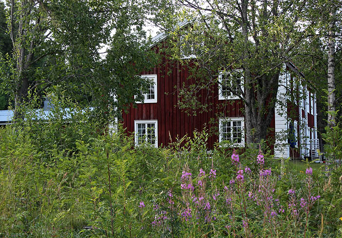 Murberget