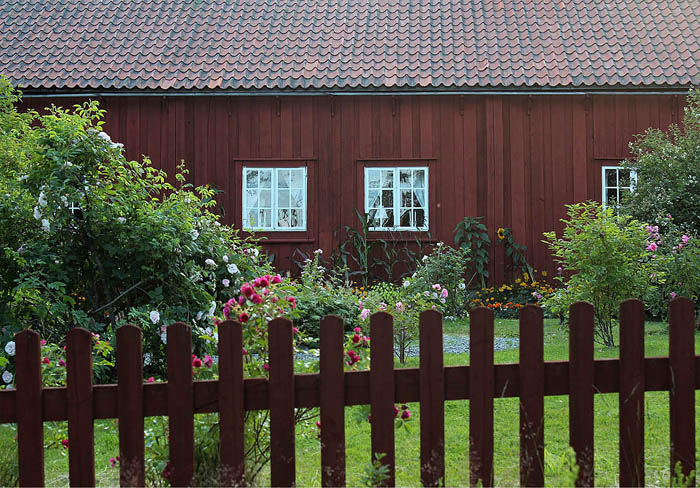 Murberget