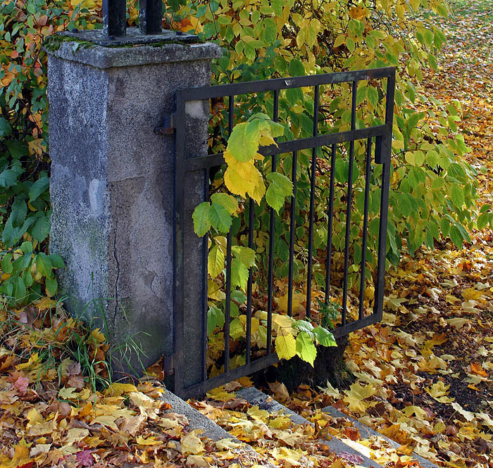 Sankt Petri Logen