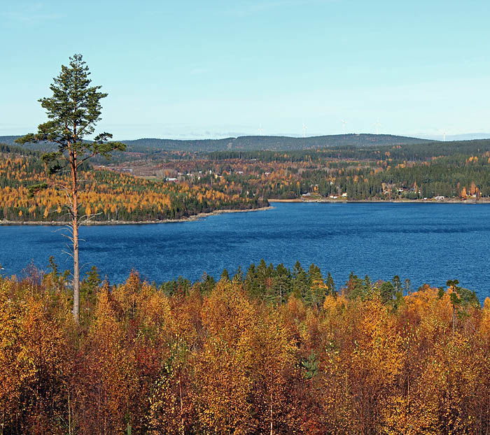 Saltvik 