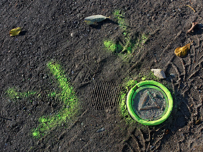 Sälsten oktober 2013