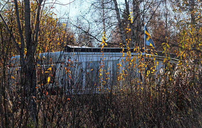 Sälsten oktober 2013