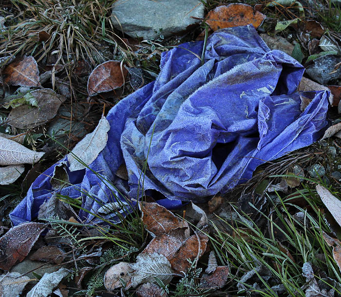 Sälsten oktober 2013
