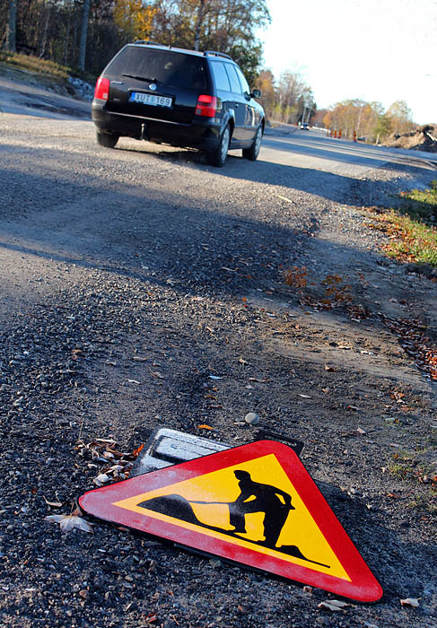 Sälsten oktober 2013