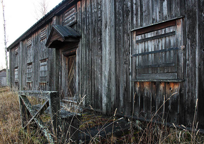 Murberget