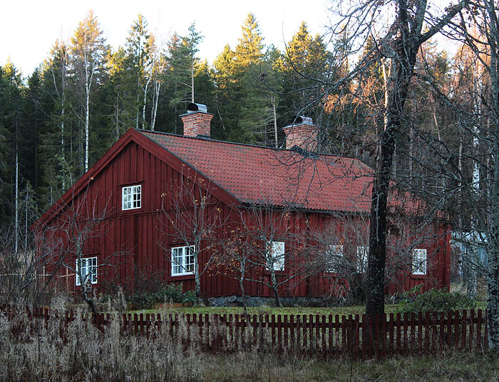 Murberget