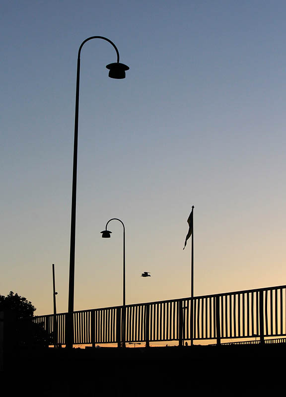 Nybron