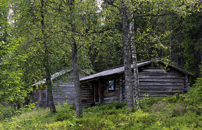 Murberget