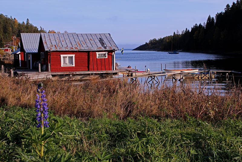Gånsvik