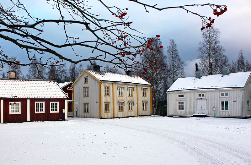 Murberget